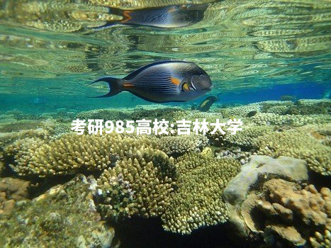 考研985高校：吉林大学 .jpg