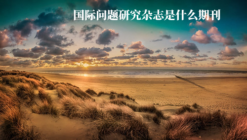 国际问题研究杂志是什么期刊 .jpg