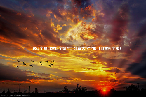 985学报自然科学综合：北京大学学报（自然科学版）.jpg