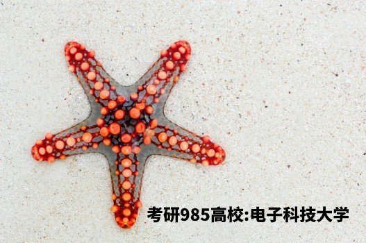 考研985高校：电子科技大学 .jpg