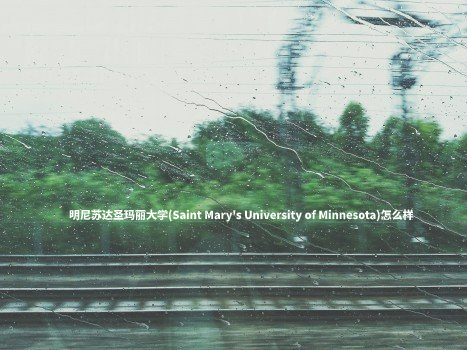 明尼苏达圣玛丽大学(Saint Mary's University of Minnesota)怎么样 .jpg