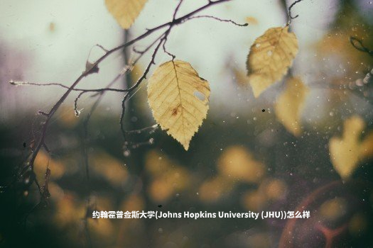 约翰霍普金斯大学(Johns Hopkins University (JHU))怎么样 .jpg