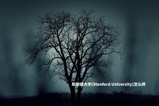 斯坦福大学(Stanford University)怎么样 .jpg