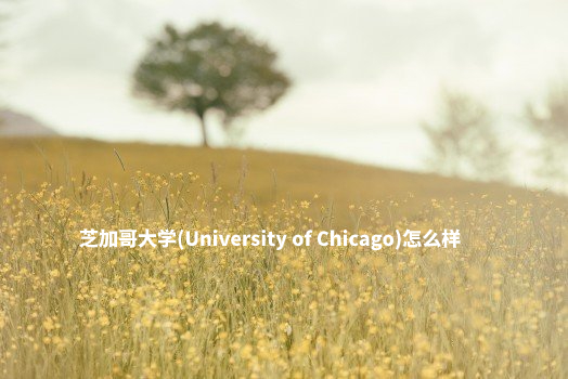 芝加哥大学(University of Chicago)怎么样 .jpg