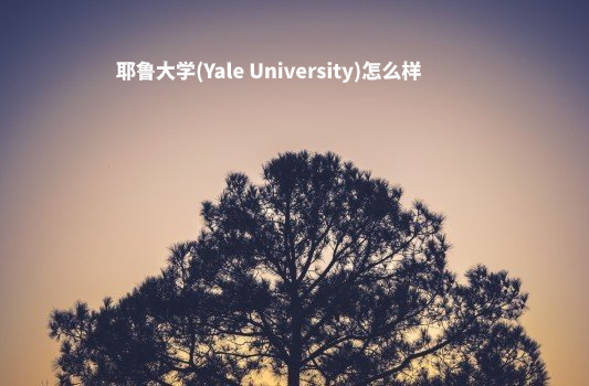 耶鲁大学(Yale University)怎么样 .jpg