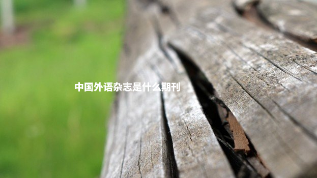 中国外语杂志是什么期刊 .jpg