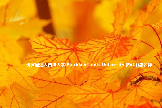 佛罗里达大西洋大学(Florida Atlantic University (FAU))怎么样 .jpg