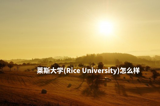 莱斯大学(Rice University)怎么样 .jpg