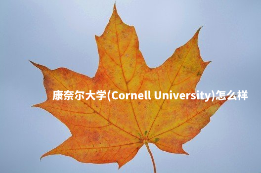 康奈尔大学(Cornell University)怎么样 .jpg