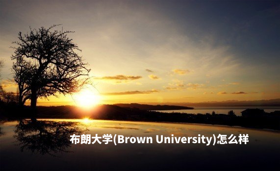 布朗大学(Brown University)怎么样 .jpg
