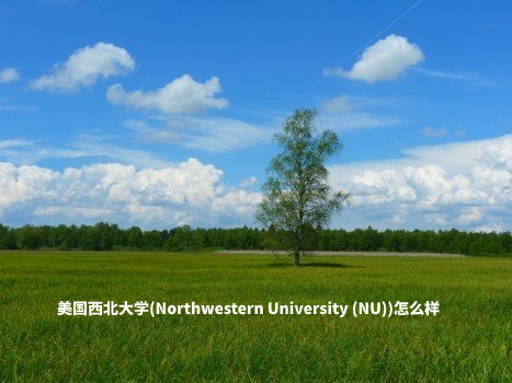 美国西北大学(Northwestern University (NU))怎么样 .jpg