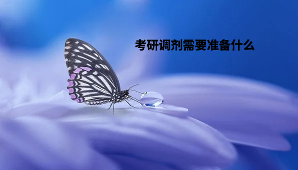 考研调剂需要准备什么.jpg