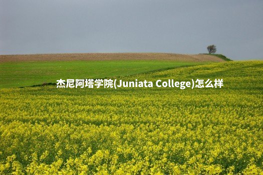杰尼阿塔学院(Juniata College)怎么样 .jpg