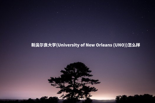 新奥尔良大学(University of New Orleans (UNO))怎么样 .jpg