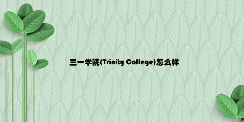 三一学院(Trinity College)怎么样.jpg