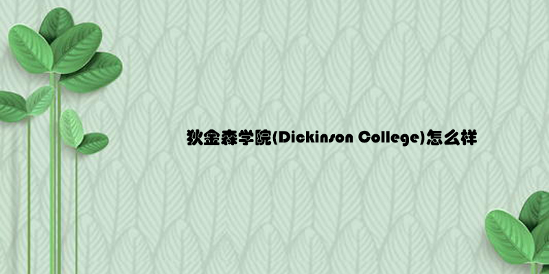 狄金森学院(Dickinson College)怎么样.jpg