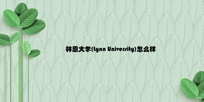 林恩大学(Lynn University)怎么样.jpg