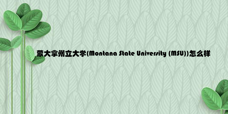 蒙大拿州立大学(Montana State University (MSU))怎么样.jpg