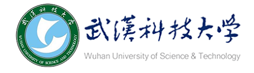 武汉科技大学.png