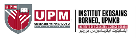 IEB.jpg