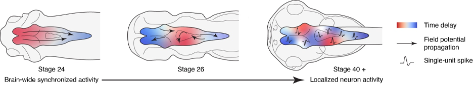 640 (2).png