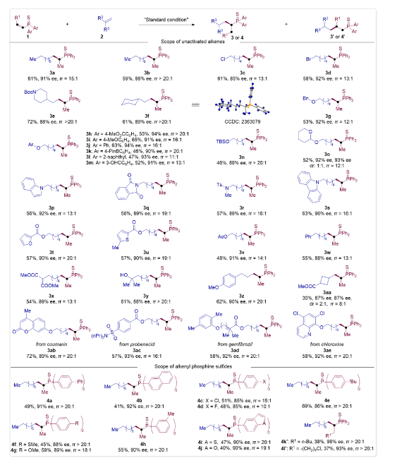 640 (2).png
