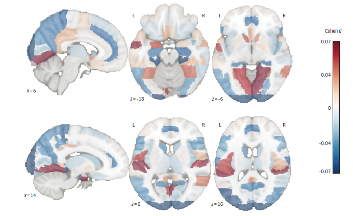 640 (26).png