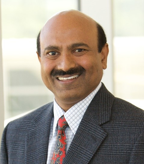Vijayan Sugumaran.jpg