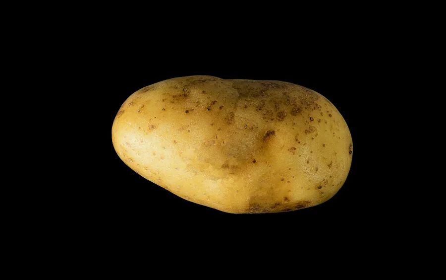 640.jpg