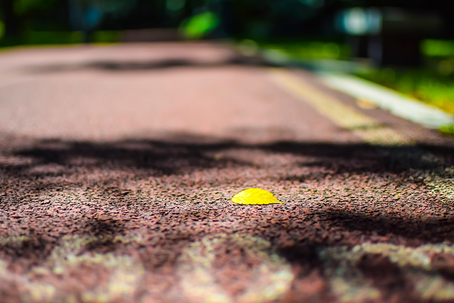 如何快速完成论文和查重