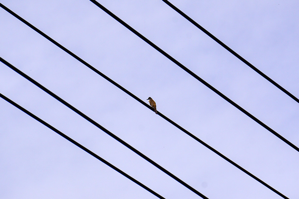 论文中的注释怎么写