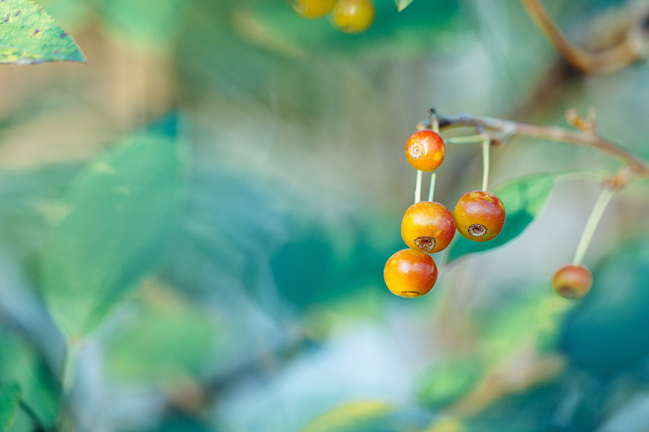 怎么查期刊级别