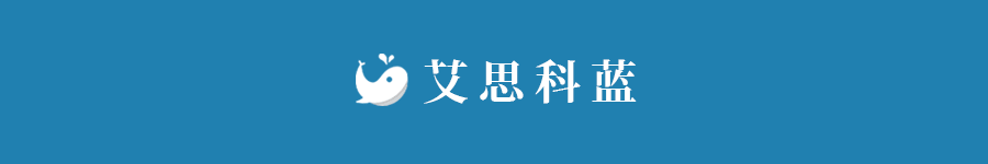 版头.gif