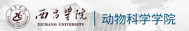 fc584d36944032e9b0e8f6a2418bd262.png