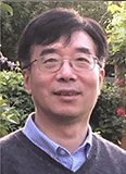 王子栋教授116x160.jpg