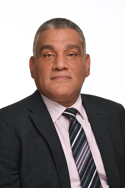 Ahmed F. Zobaa.jpg