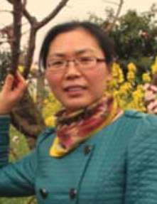 杨先凤-地方主席.png