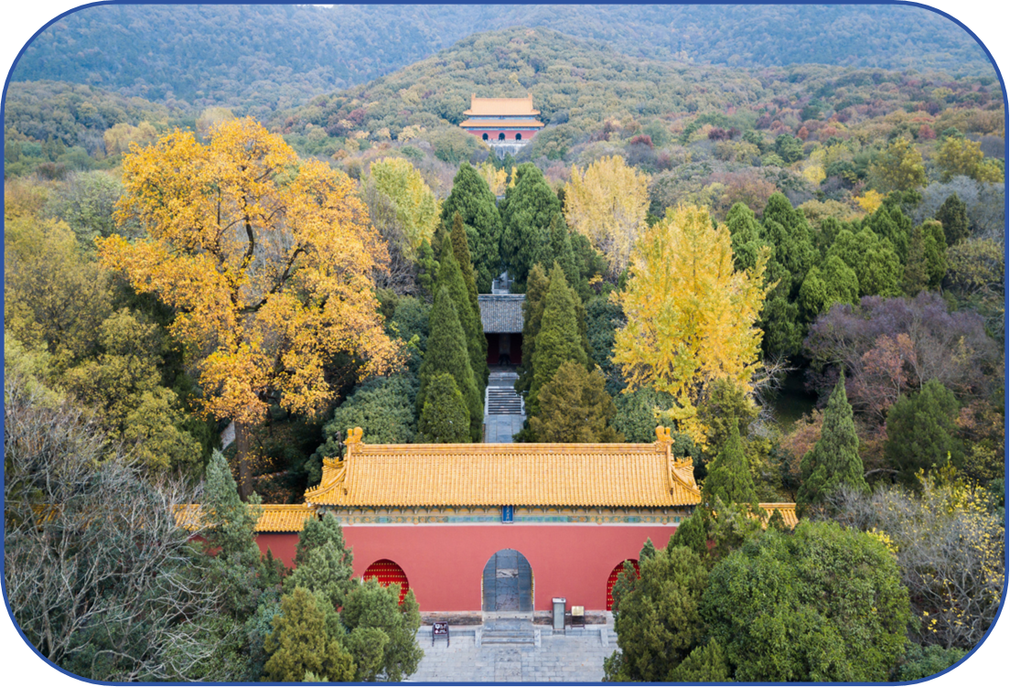 图片19.png