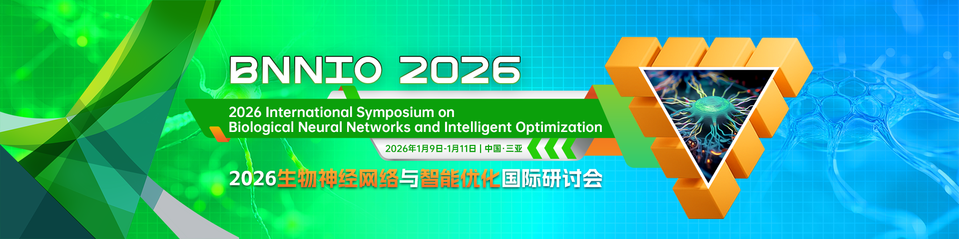 2026生物神经网络与智能优化国际研讨会（BNNIO 2026)