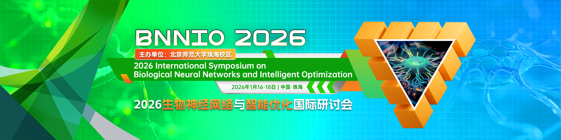 2026生物神经网络与智能优化国际研讨会（BNNIO 2026)