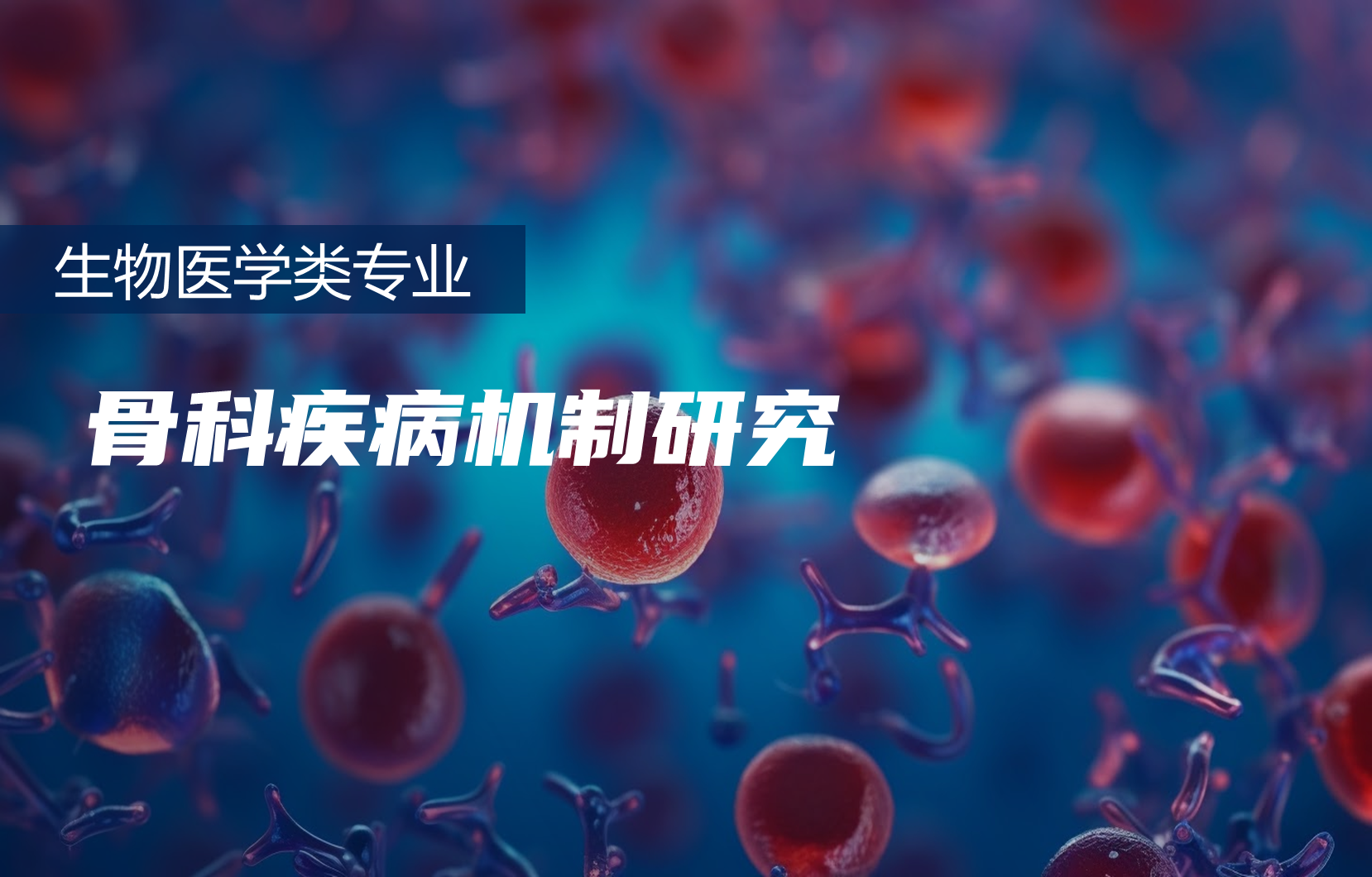 骨科疾病机制研究